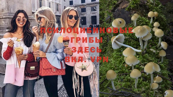 винт Абинск