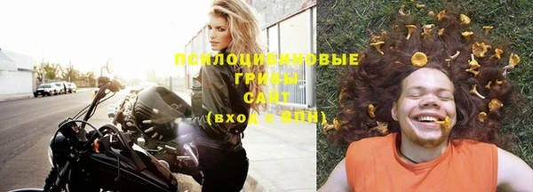 молекула духа Алексин