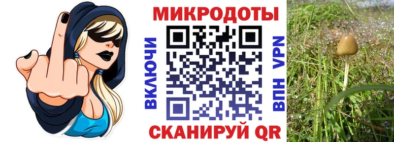цены наркотик Усть-Илимск ссылка на мегу онион Псилоцибиновые грибы Psilocybe