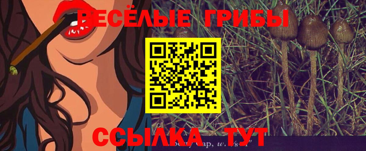 Псилоцибиновые грибы мухоморы Усть-Илимск